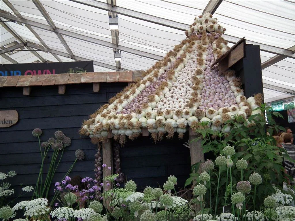 Grow your own margee  best exhibit award 1